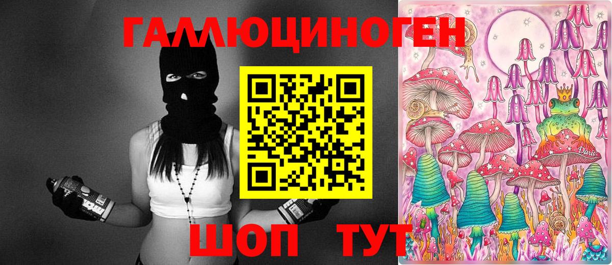 Прохладный  Псилоцибиновые грибы Cubensis  Вход с VPN  Псилоцибиновые грибы ЛСД 