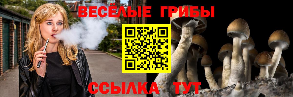 Псилоцибиновые грибы мухоморы Прохладный