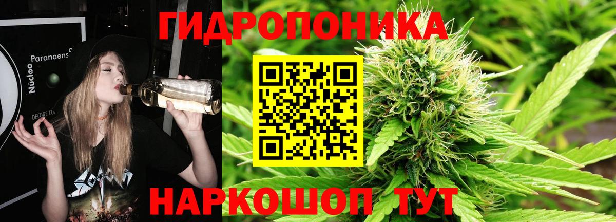 МАРИХУАНА сатива  Марихуана гибрид  Вход с VPN  МАРИХУАНА планчик  Прохладный 